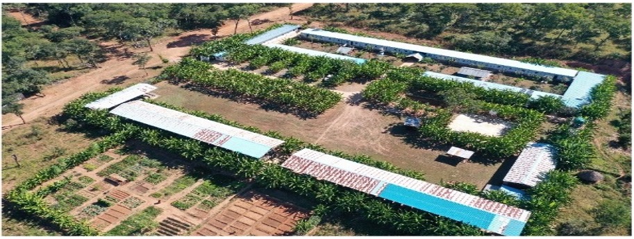 �ޱ��ǿ���Τͭ��